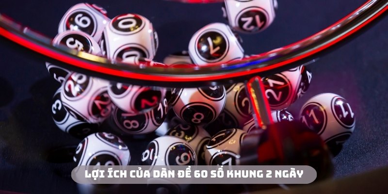 Hội viên sẽ nhận được nhiều lợi ích với dàn 60 số